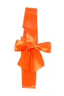 Orange Elastic Band Bow