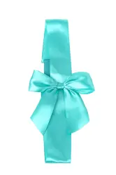 Blue Elastic Band Bow