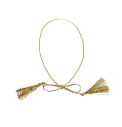 Elastic Loops with Embellishments